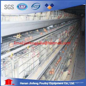 Layer Chicken Cage Poultry Equipments
